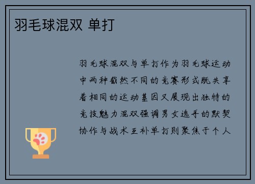 羽毛球混双 单打